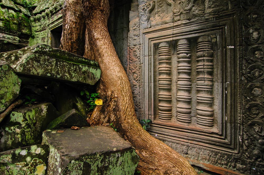 Ta Prohm S  14 (3)