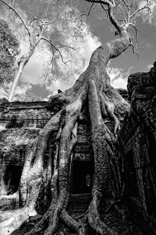 Ta Prohm