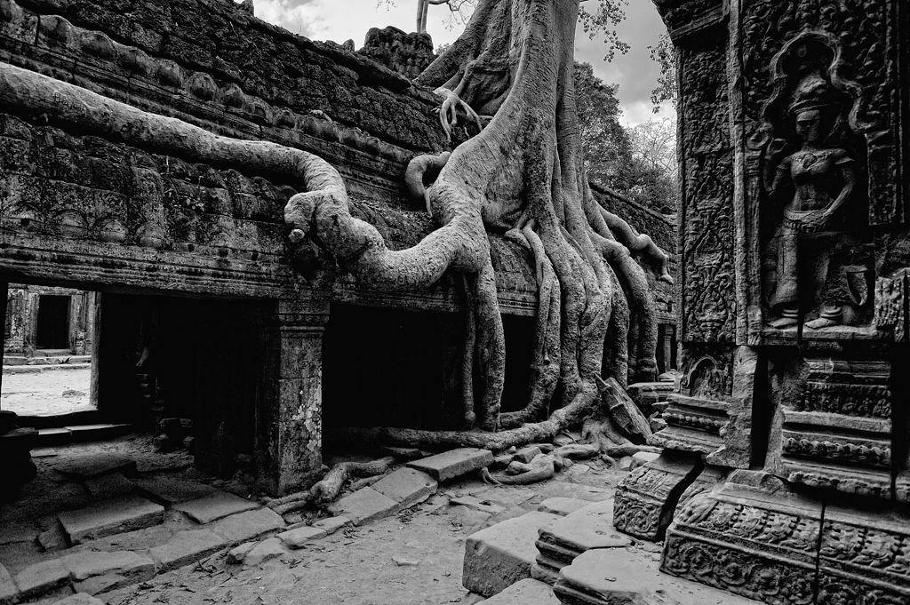 Ta Prohm