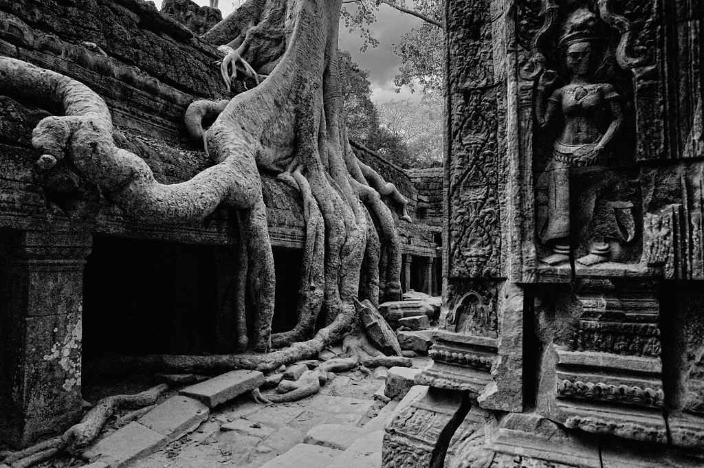 Ta Prohm