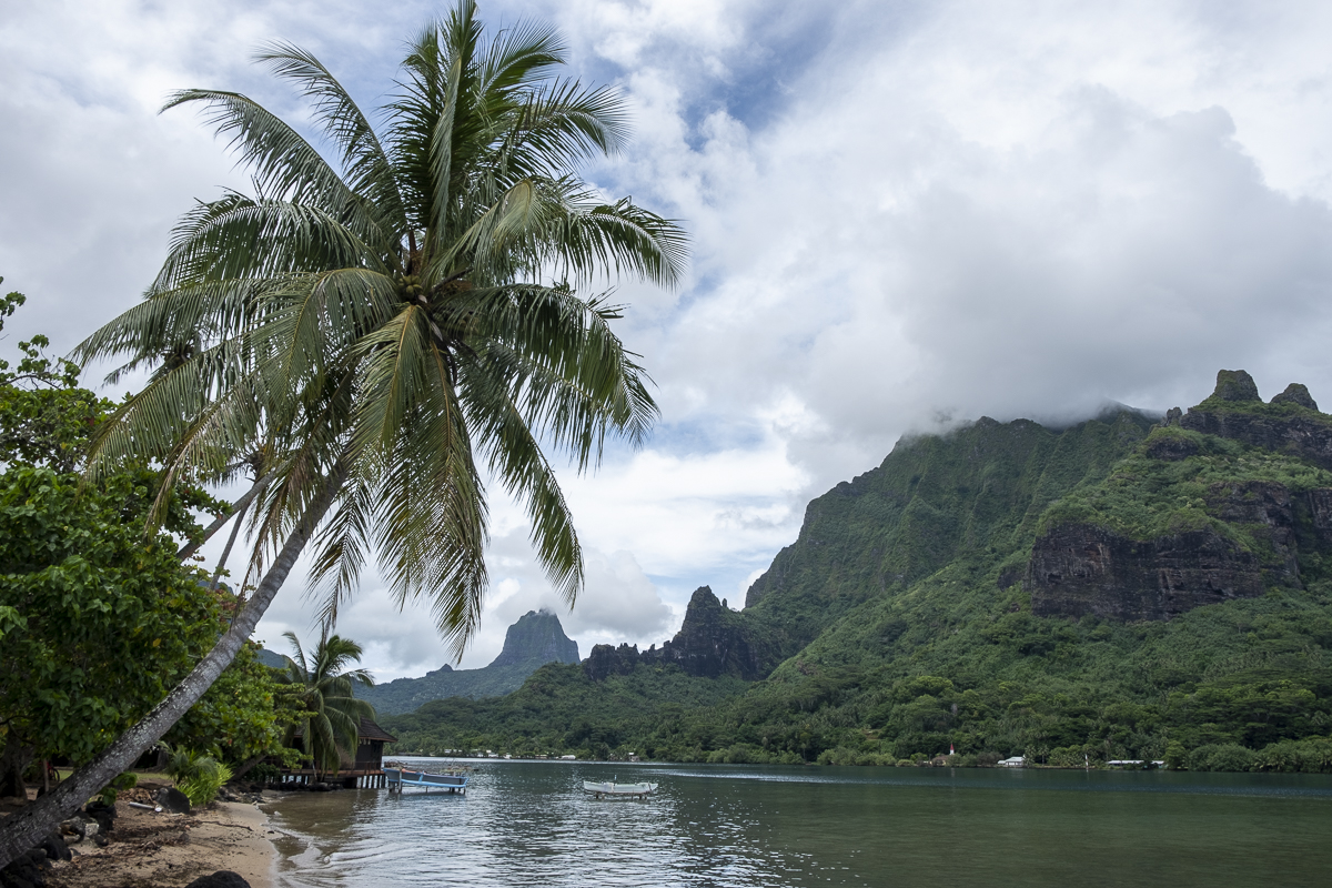 Taahiamanu Moorea.jpg