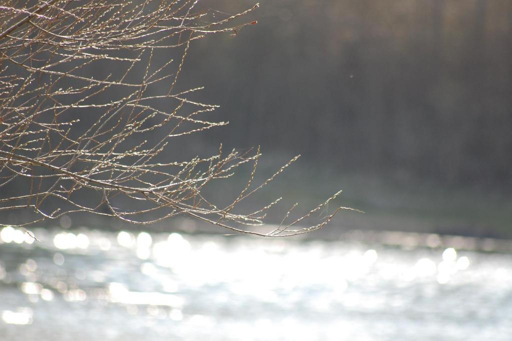 Tag am See
