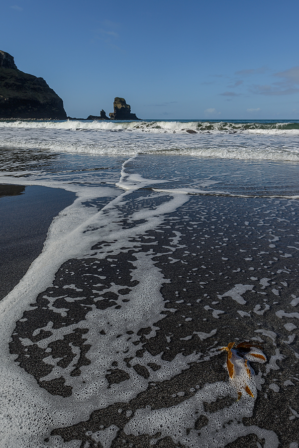 Talisker Bay Schottland 2016