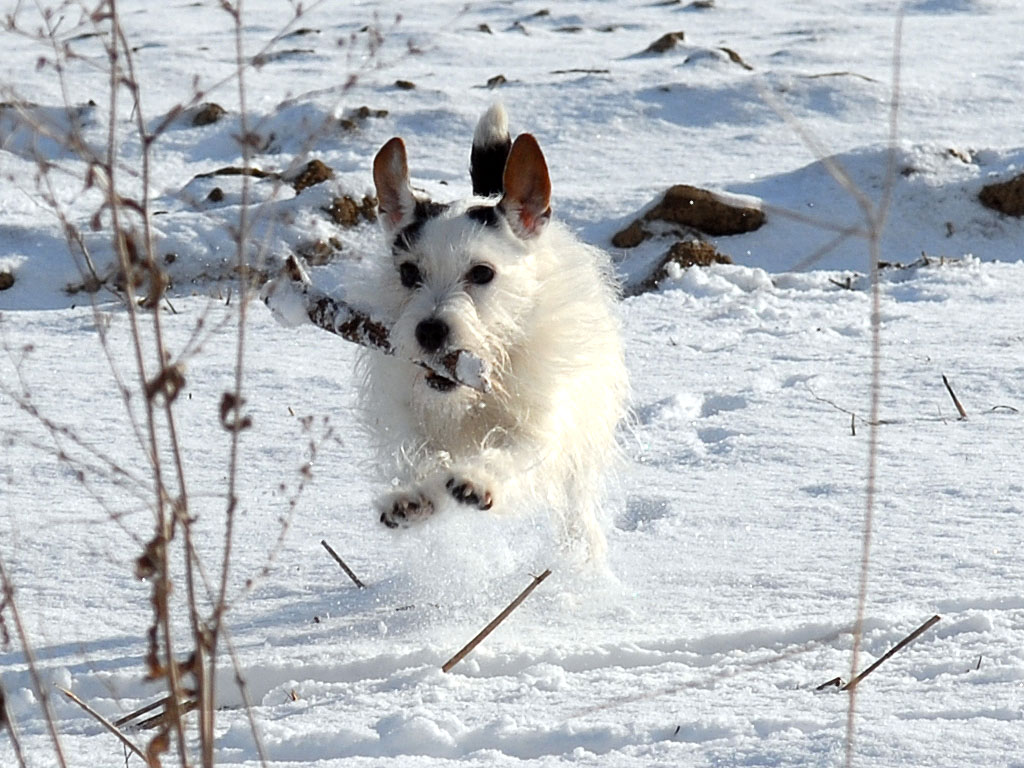 Tammy Schnee31jan10