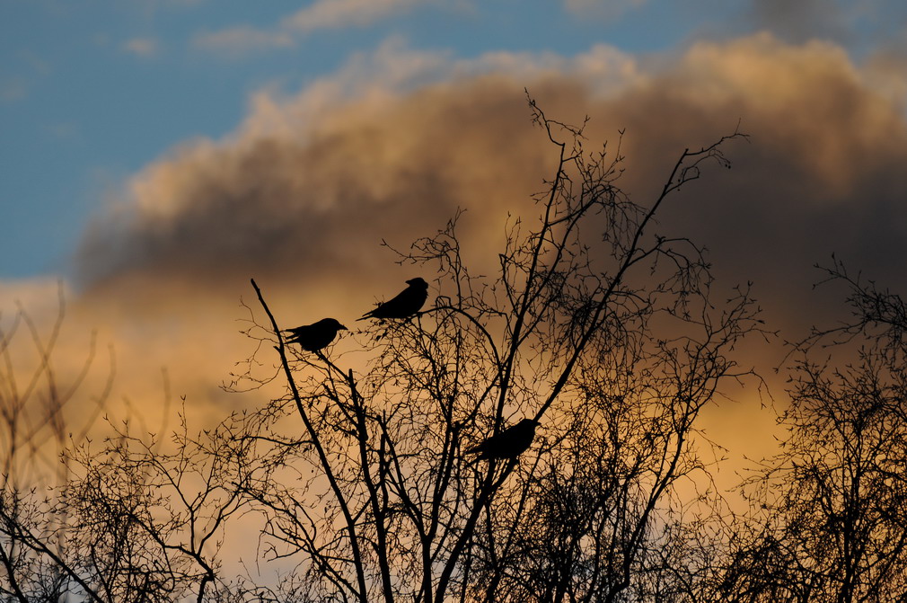 Tamron 70-300mm Test 14