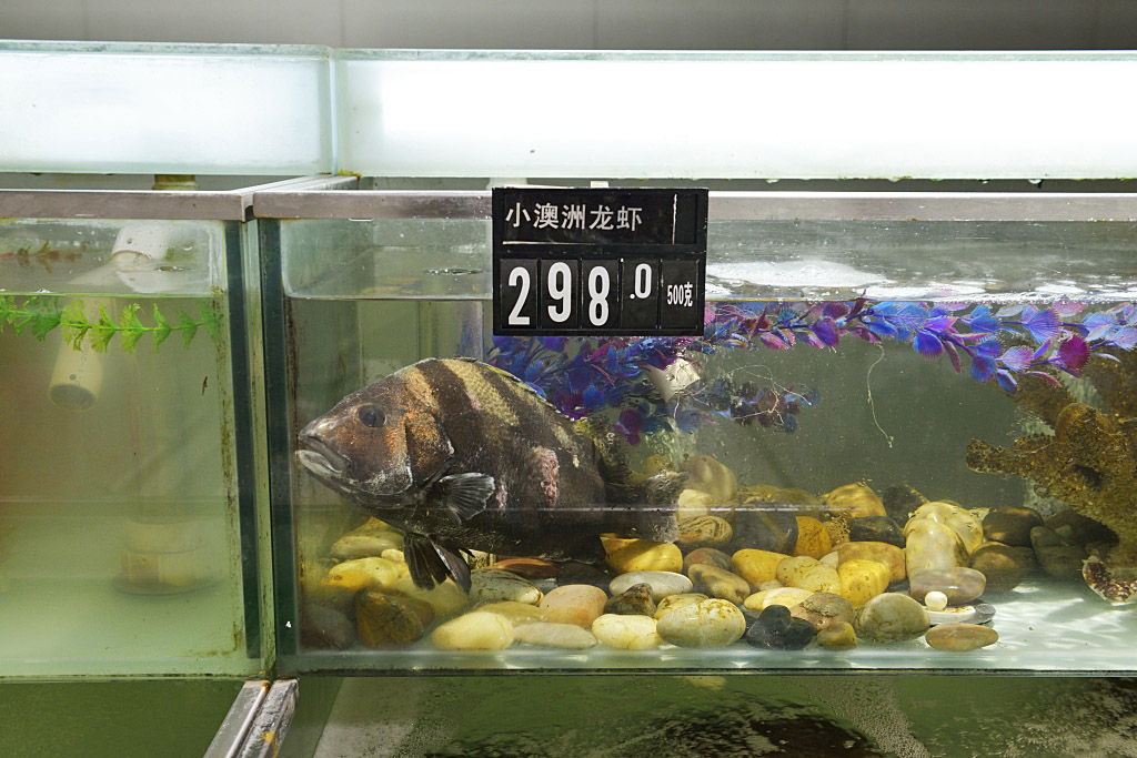 TAN3238