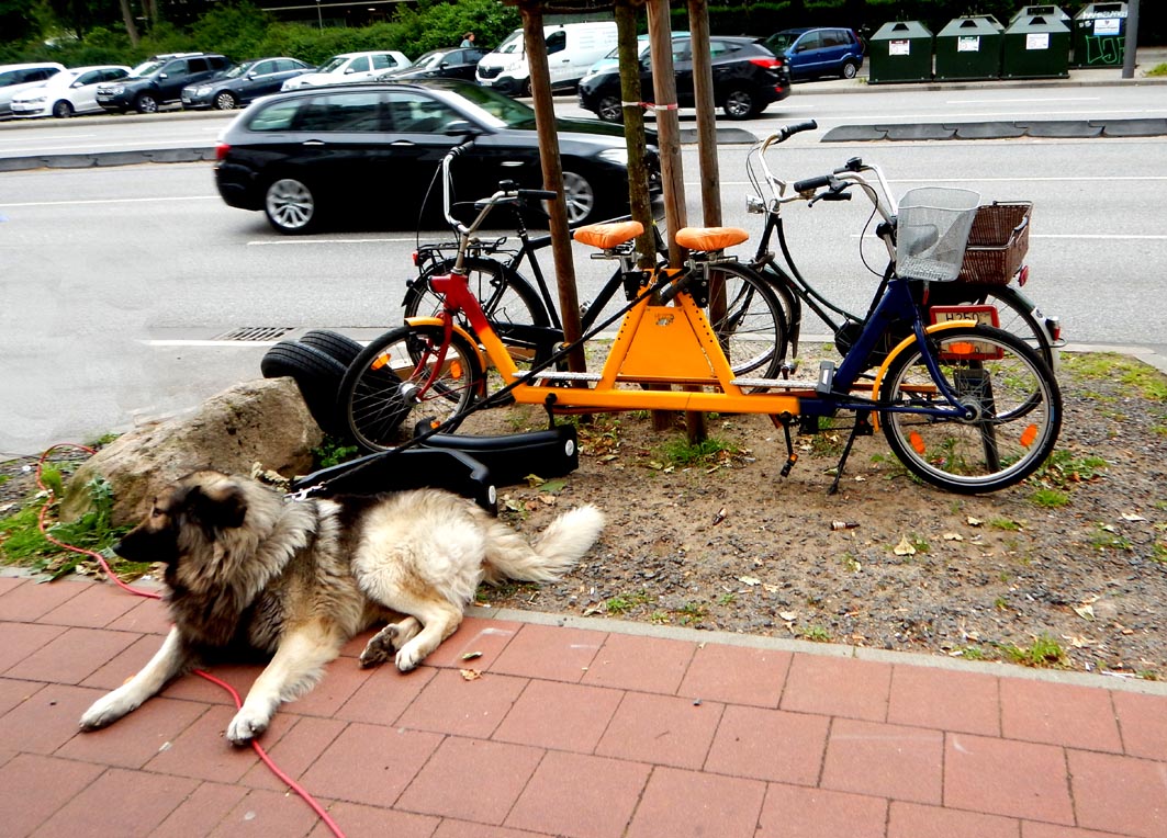 tandem.1.jpg
