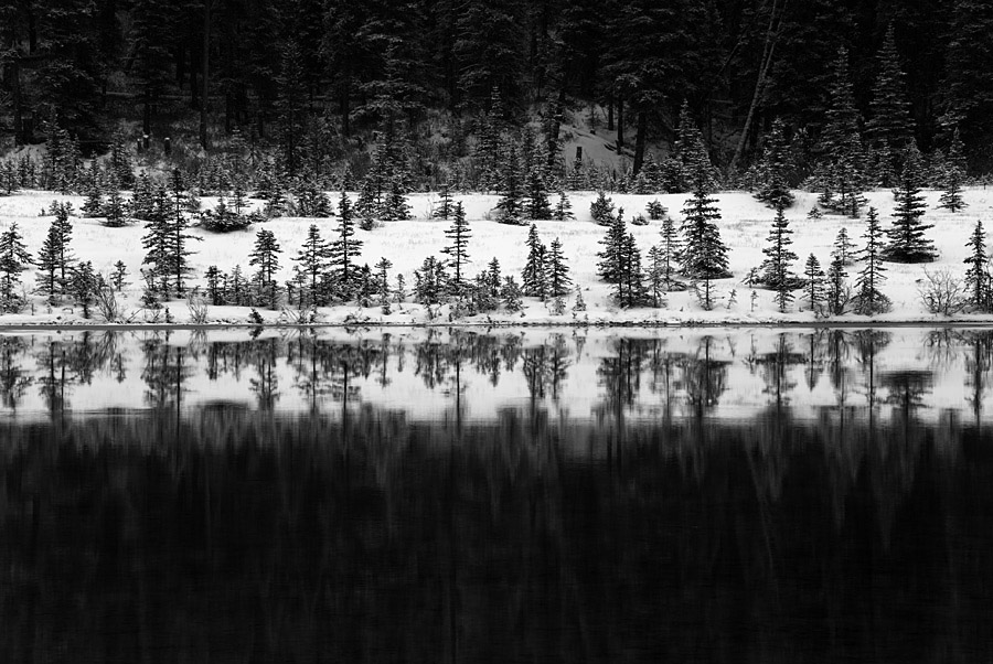 Tangle Flats, Jasper NP, schwarz/weiss