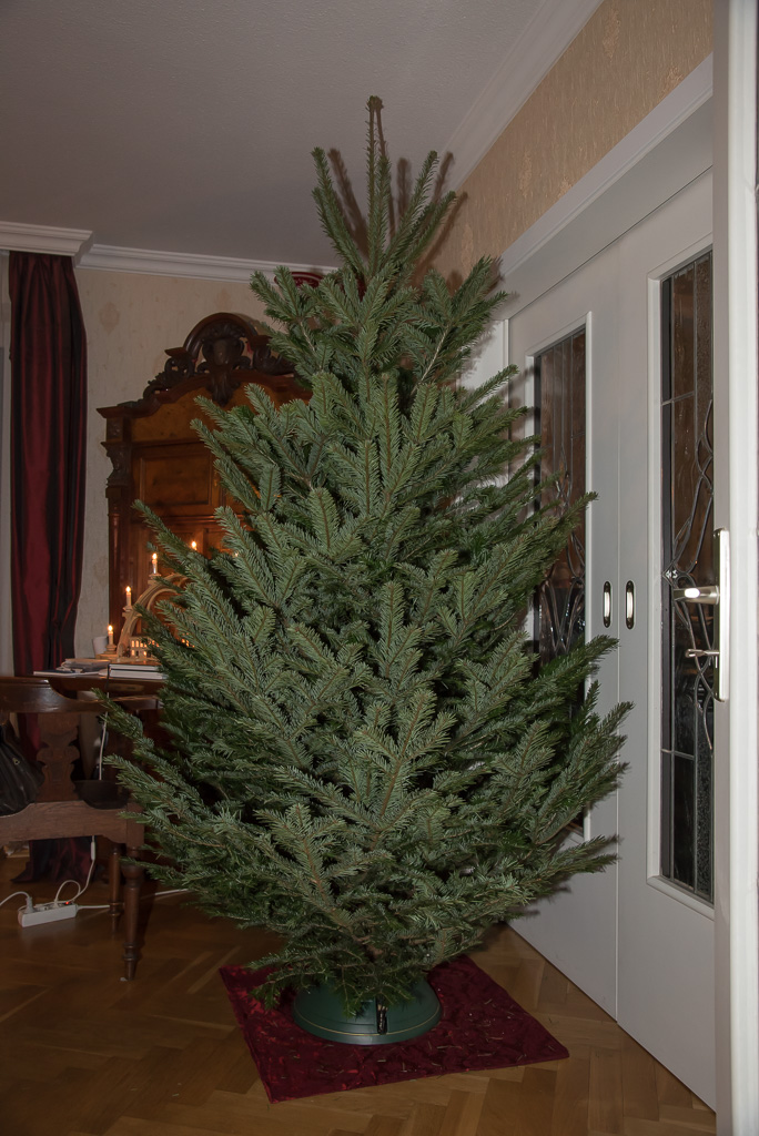 Tannenbaum