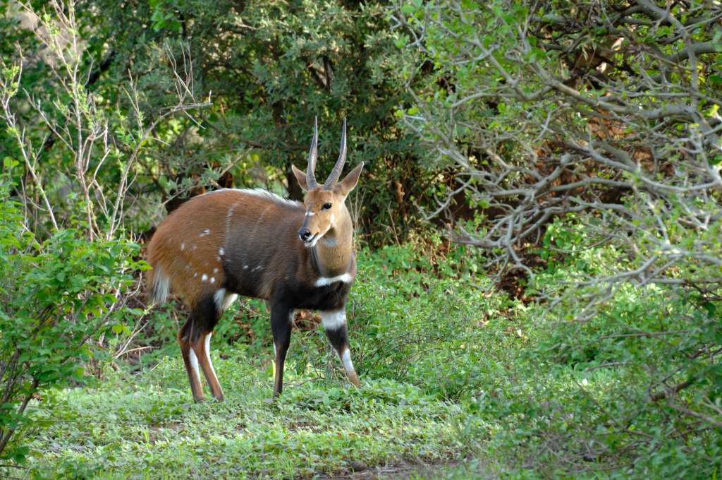 Tansania 2011 292
