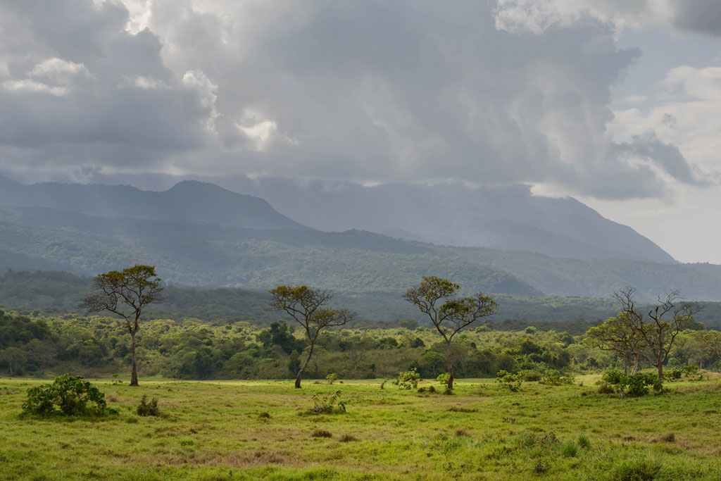 tansania arusha np 1