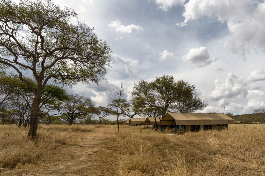 tansania kati kati camp