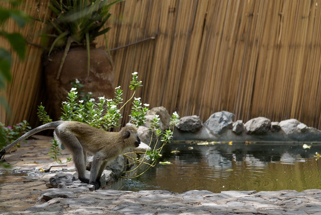 tansania lake natron camp 1