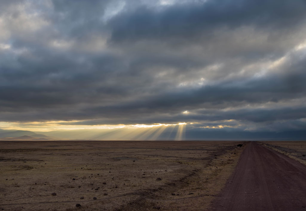 tansania ngorogoro morgens 3