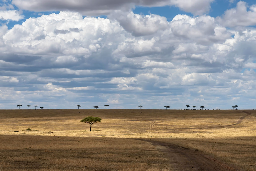 tansania serengeti landschaft 1