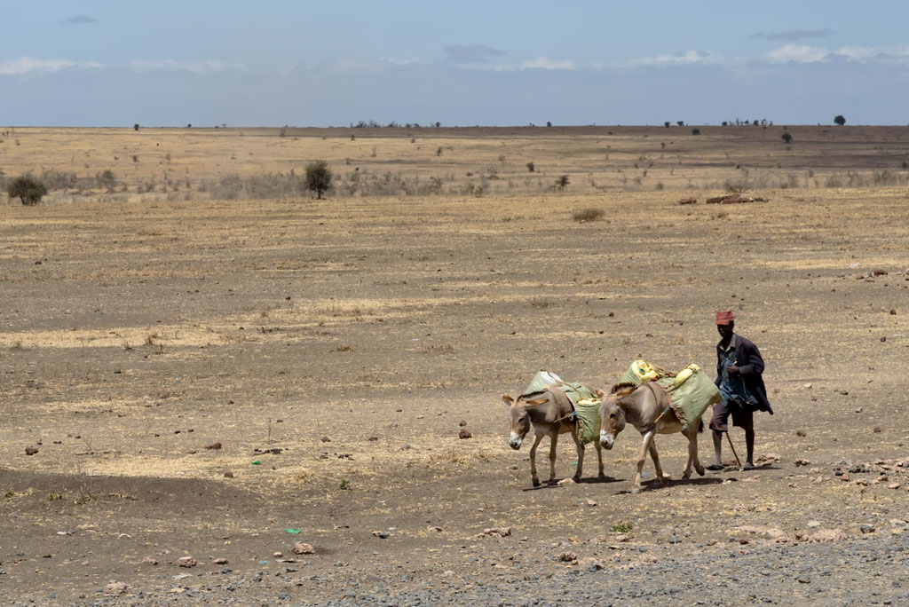 tansania weg natron 1