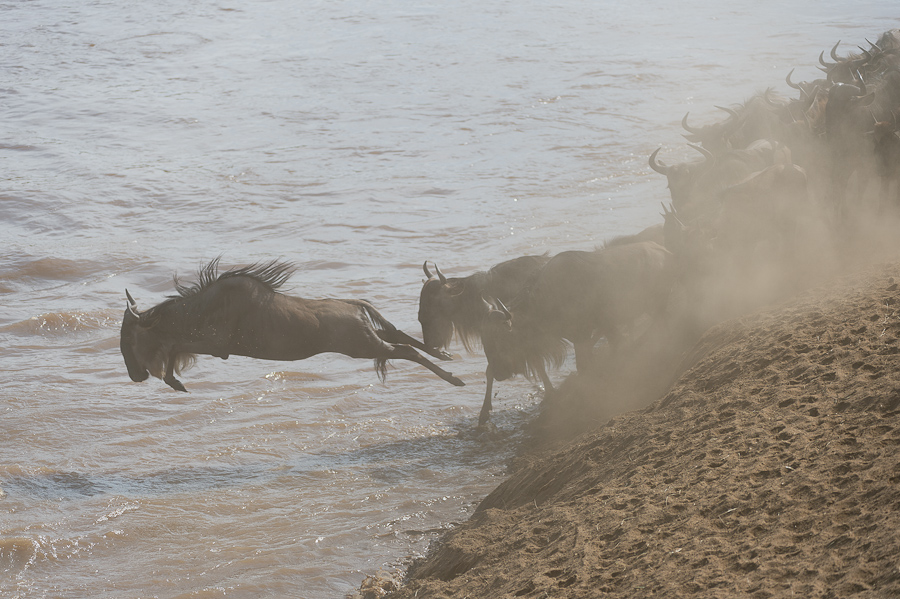 tanzania crossing2 nff 003