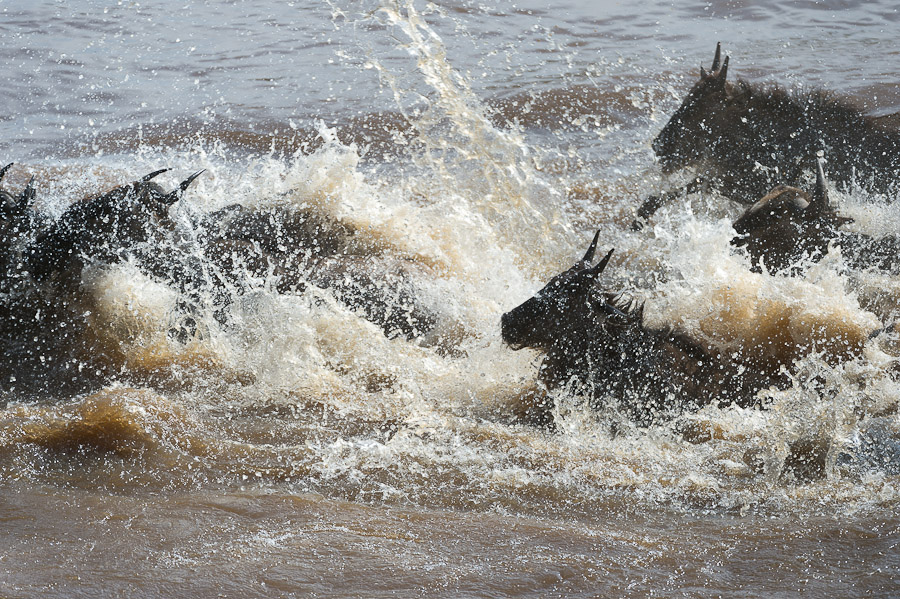 tanzania crossing2 nff 005