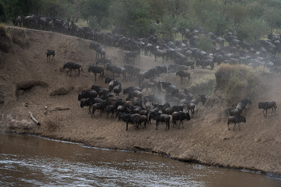 tanzania crossing3 nff 000