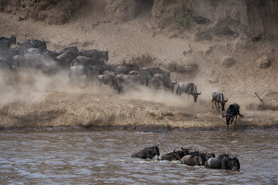 tanzania crossing3 nff 001