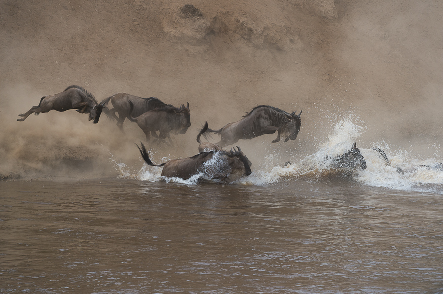 tanzania crossing3 nff 004