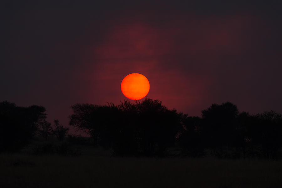 tanzania feuer nff 004