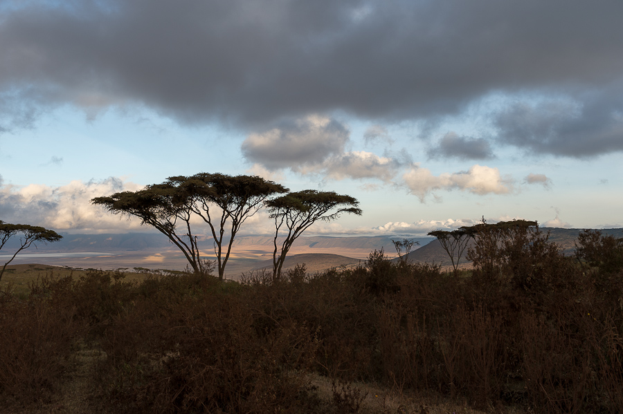 tanzania ngoro nff 001