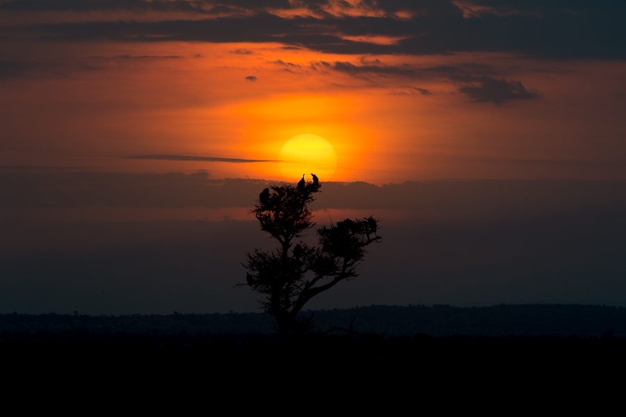 tanzania nord nff 002