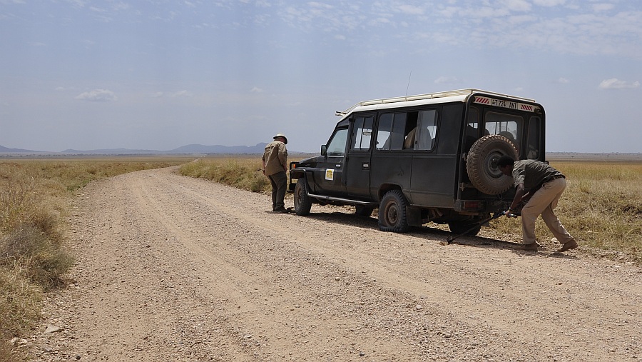 tanzania zentralserengeti nff 003