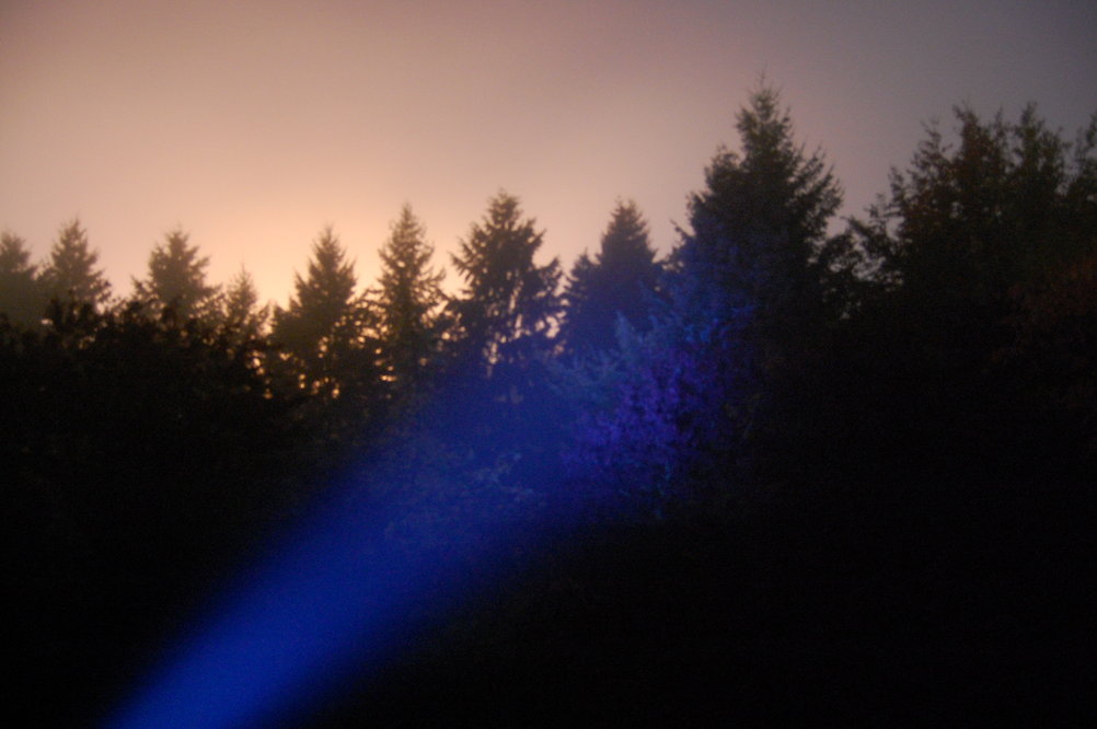 Taschenlampe bei Nacht