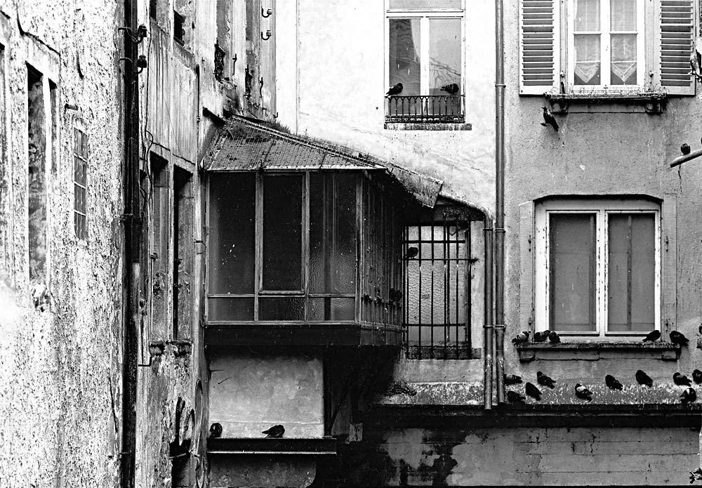 Taubenbalkon1