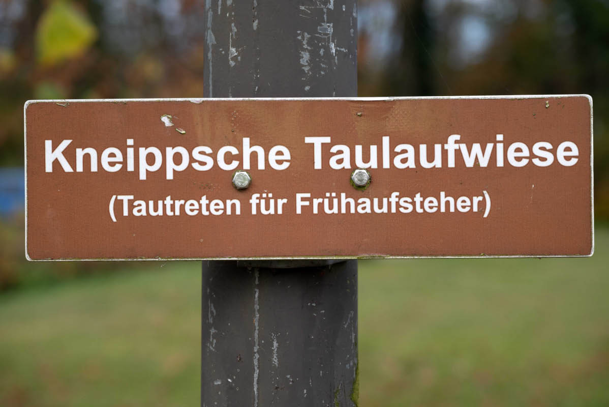 Taulaufwiese.jpg