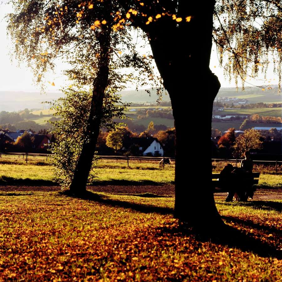Taunusstein Wehen Blick Freiäcker Herbst 2010 - Fuji RVP 100F, Rolleimagic II