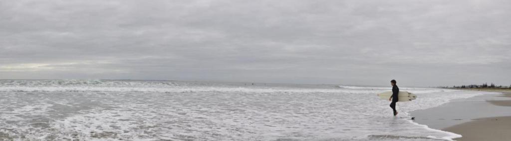 Tauranga 3