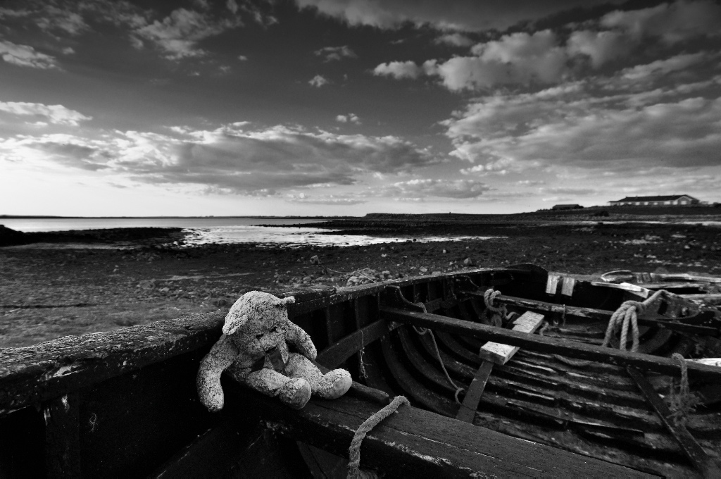 teddy2