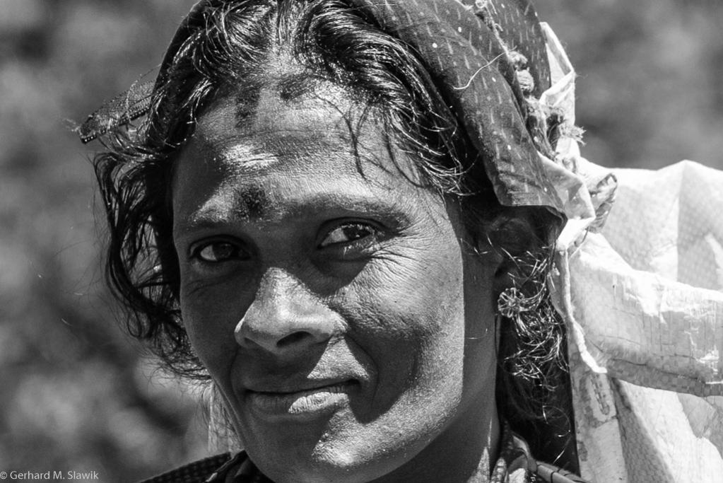 Teepfückering Sri Lanka 2