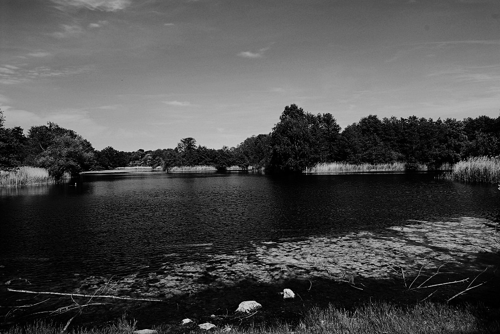 TegelerFließ KöppchenSee 0052 110601 SW 1024x685 90