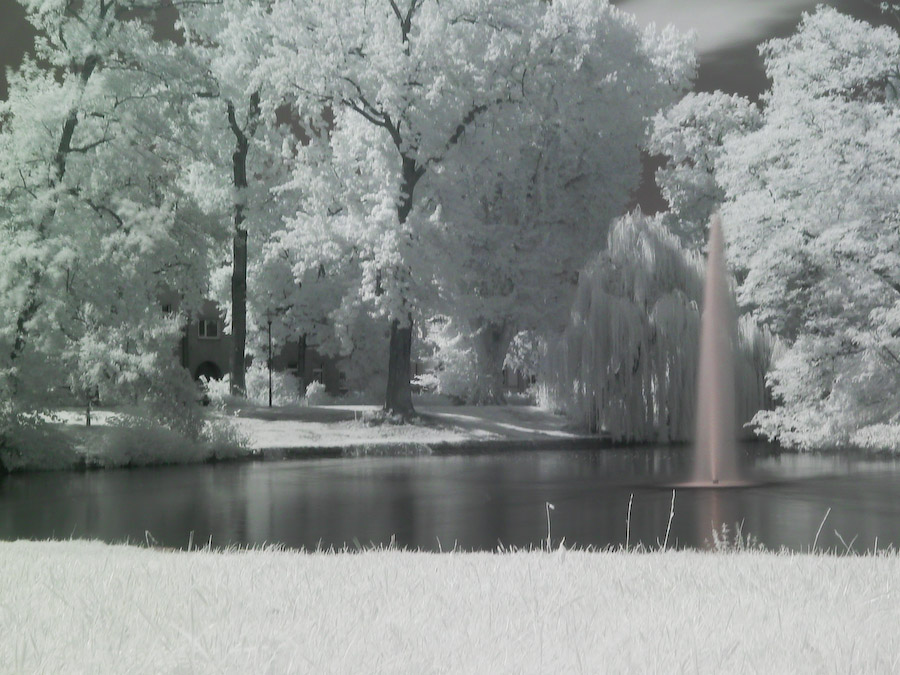 Teich