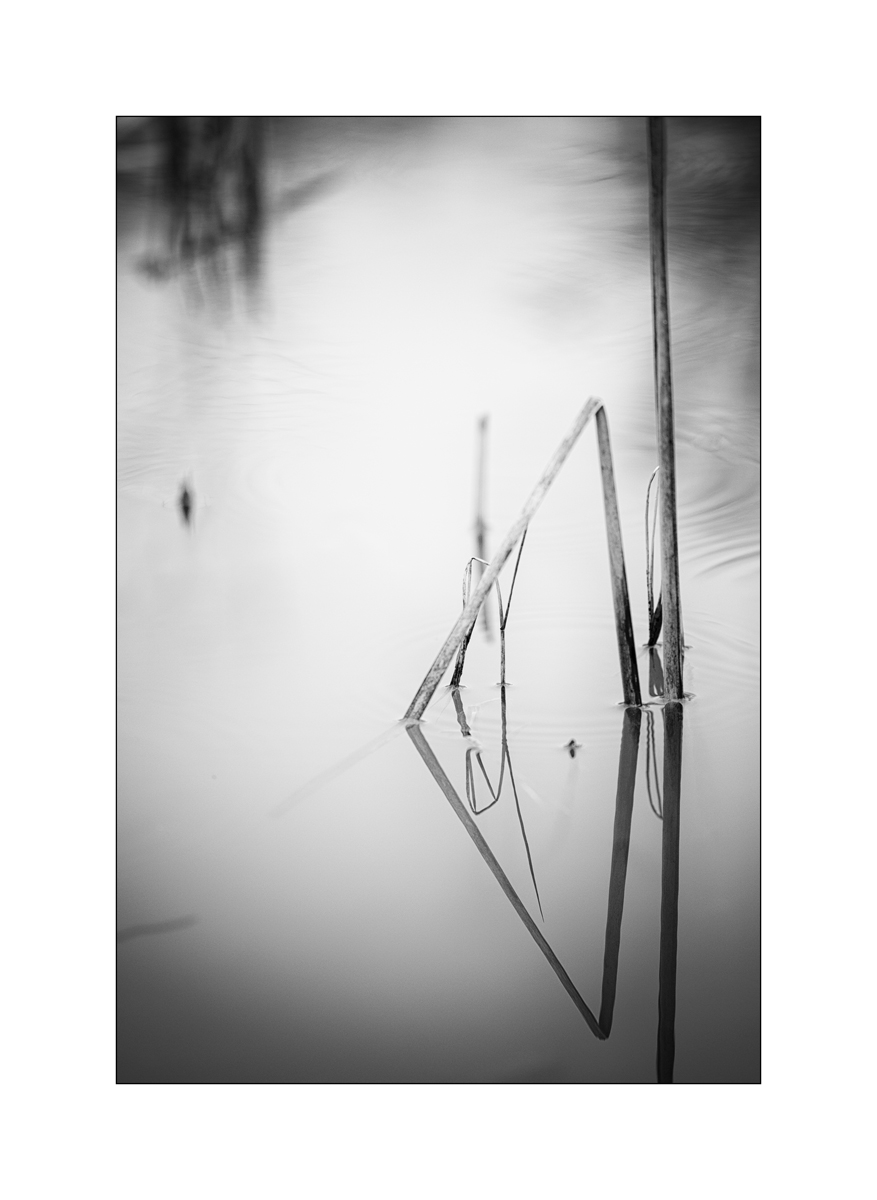 TeichDSC_3205.jpg