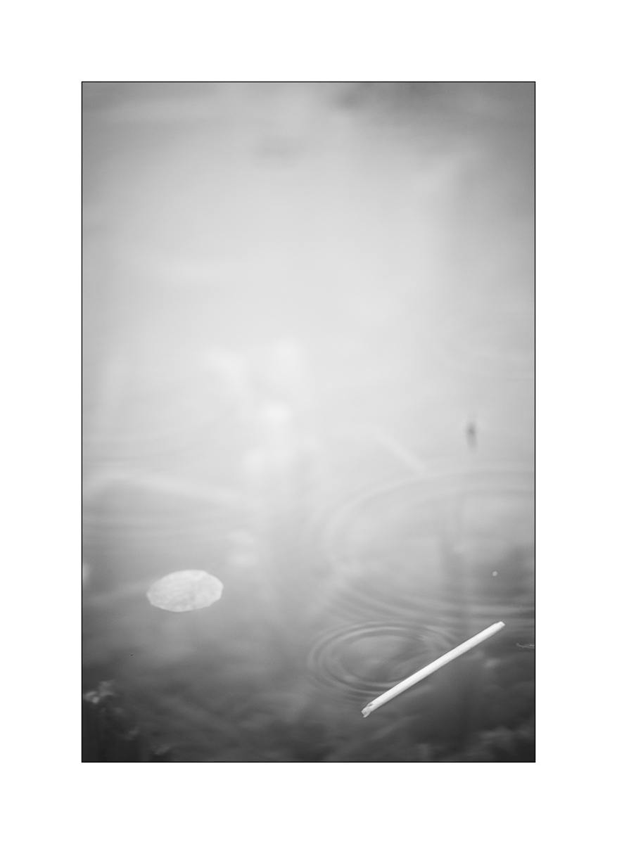 TeichDSC_3210.jpg