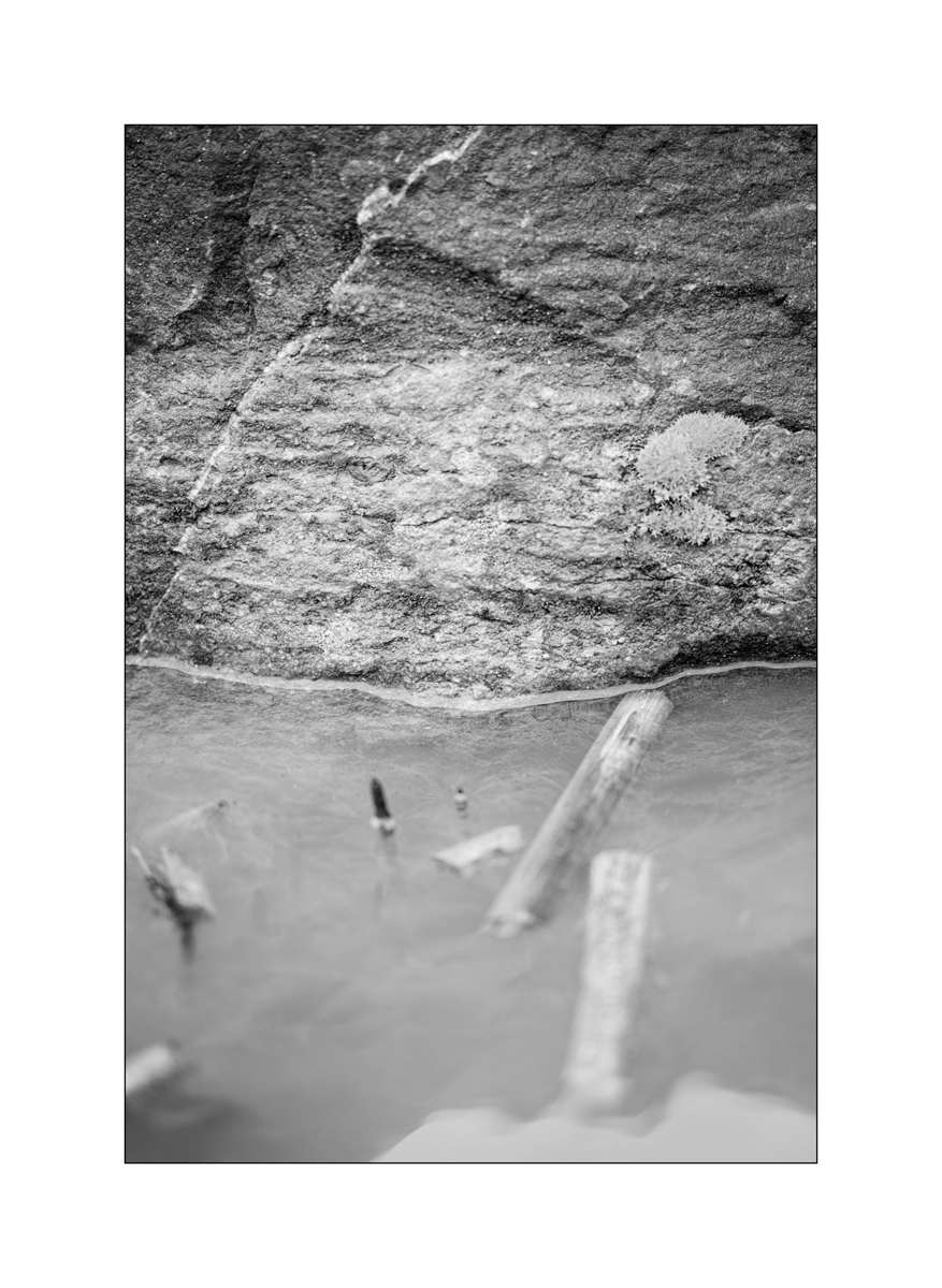 TeichDSC_3214.jpg