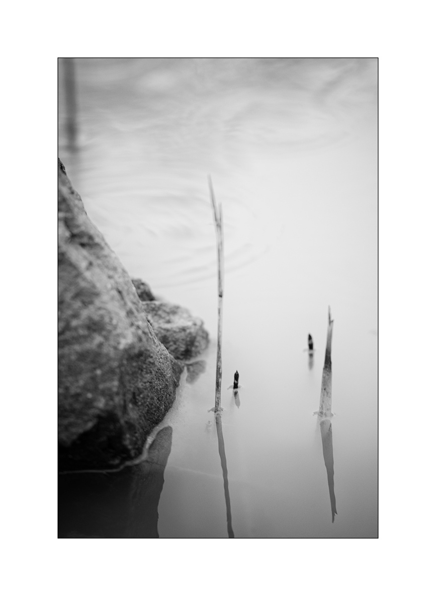 TeichDSC_3215.jpg