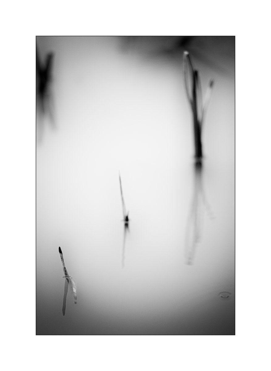 TeichDSC_3226.jpg