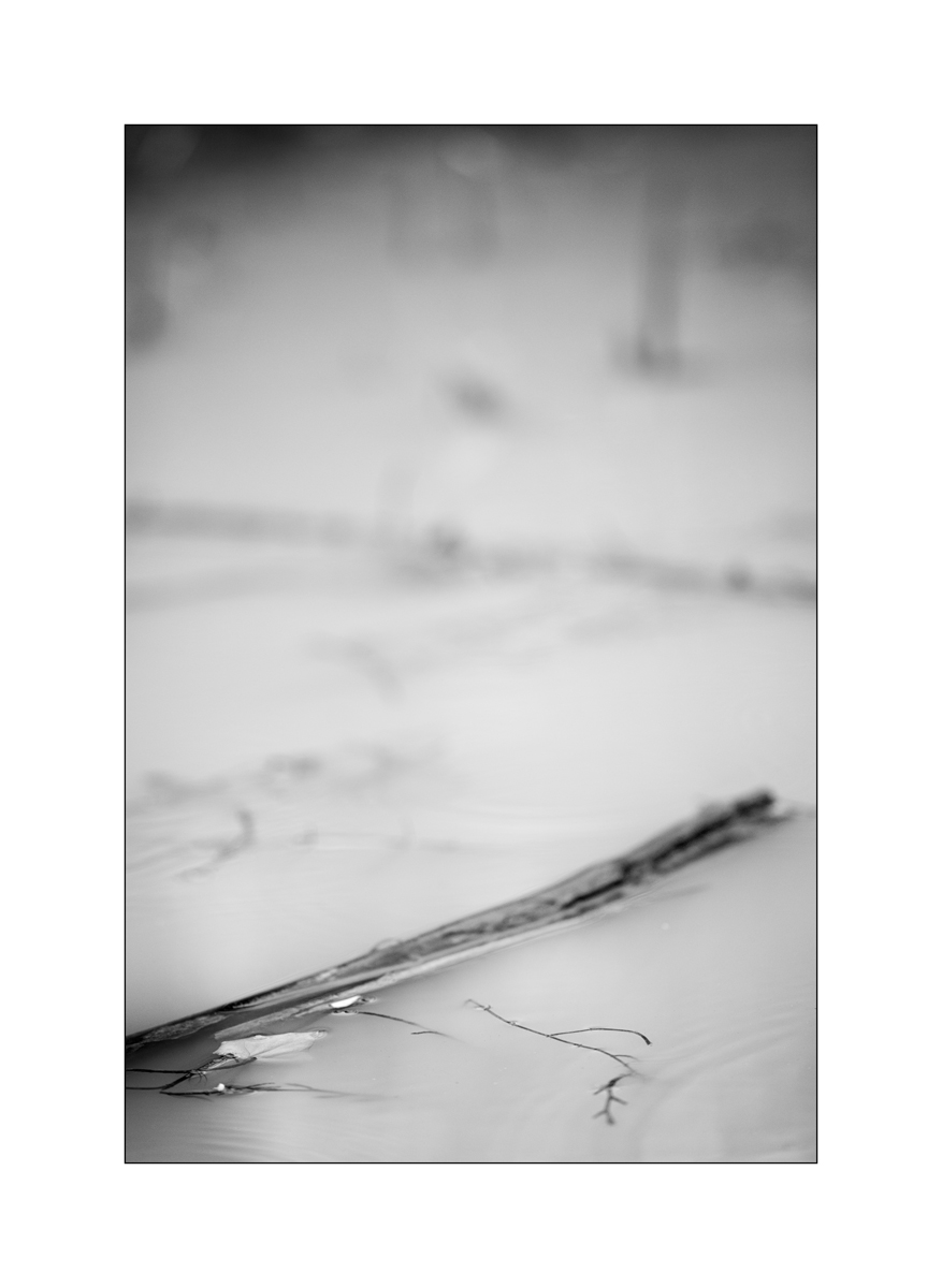 TeichDSC_3232.jpg