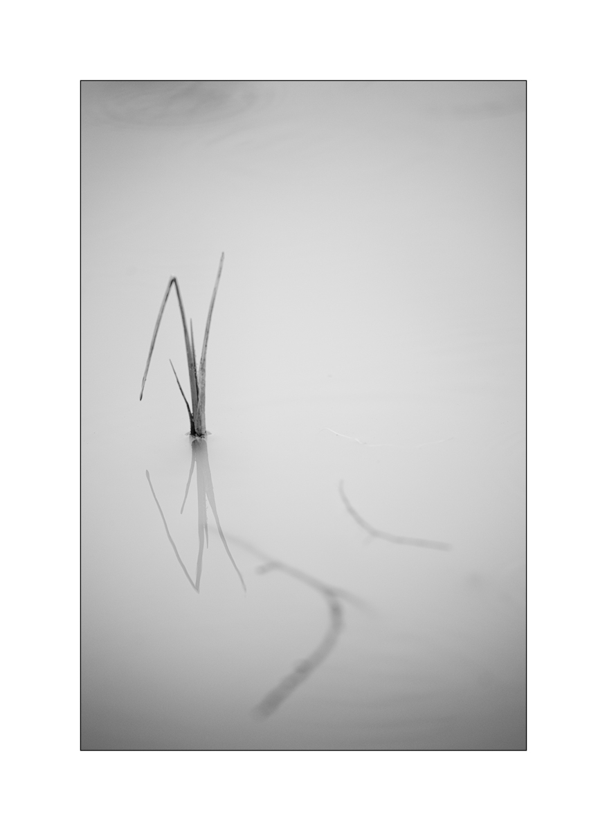 TeichDSC_3234.jpg