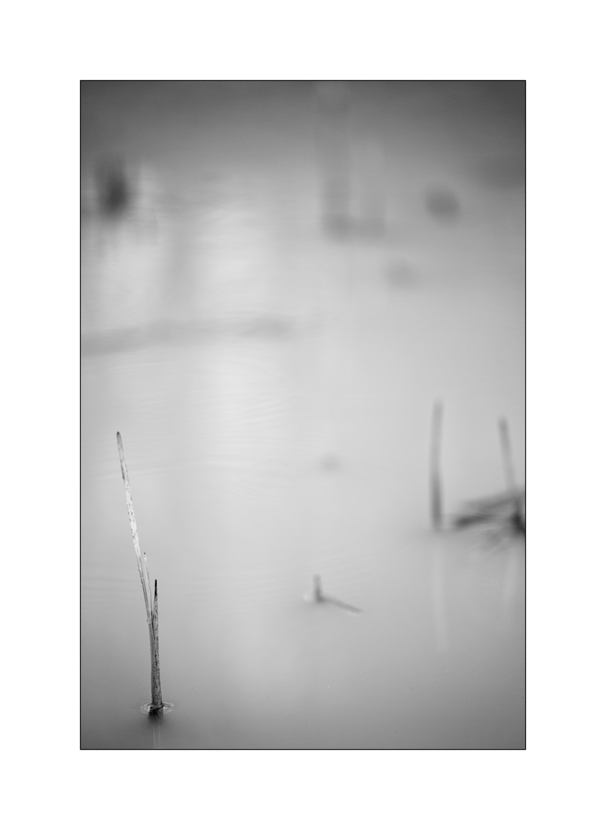 TeichDSC_3236.jpg
