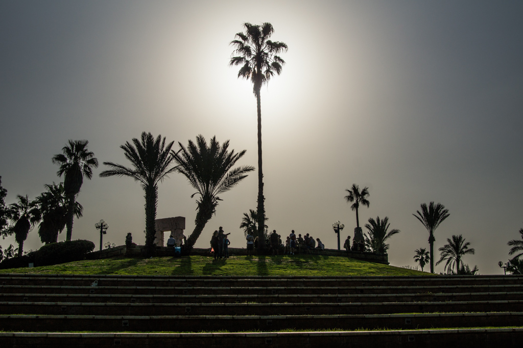 tel aviv 06817