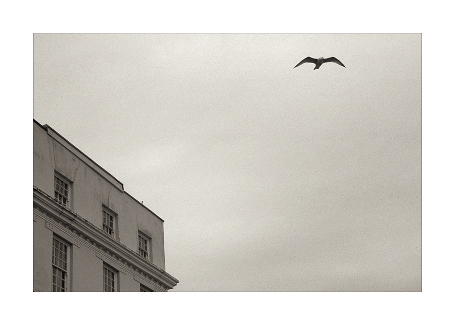 Tenby02