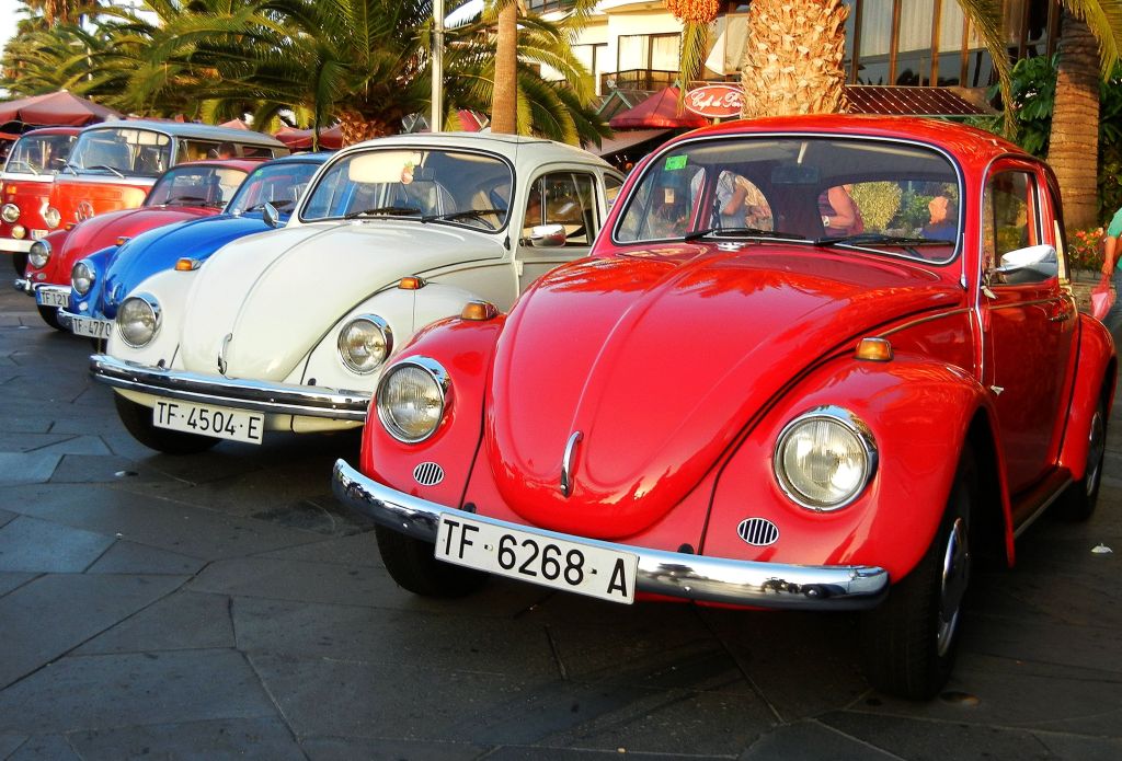 Teneriffa 2012 347