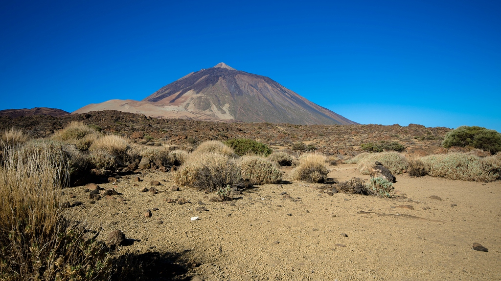 Teneriffa DSC 3918